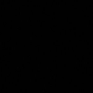 Meet your Posher, Tanesha